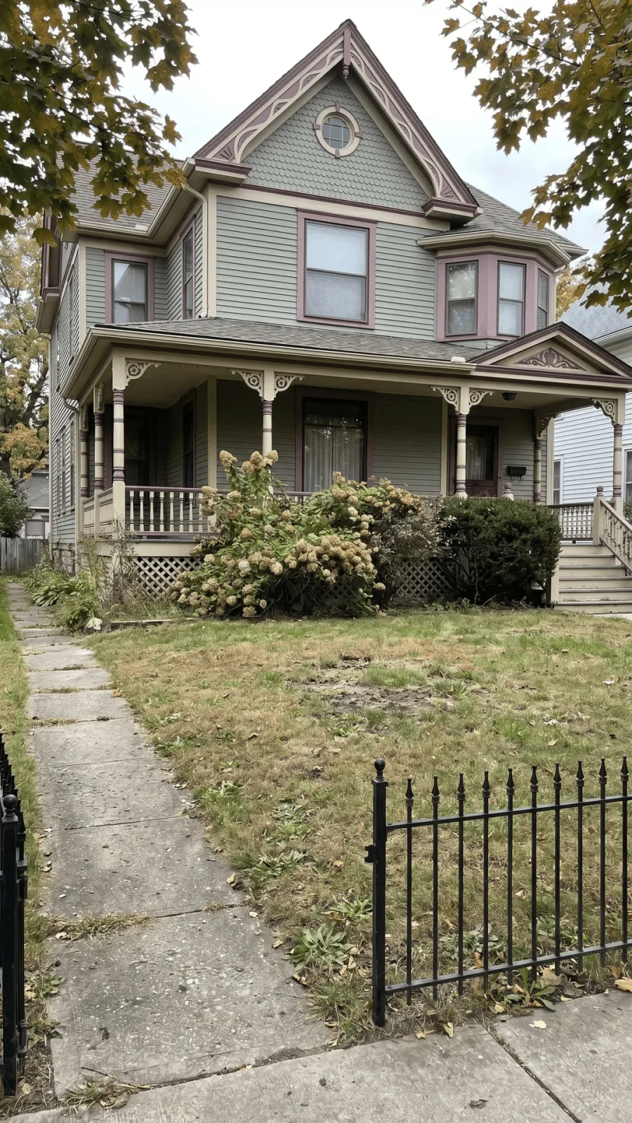 Before photo of a historic Victorian front yard with patchy lawn and overgrown foundation planting