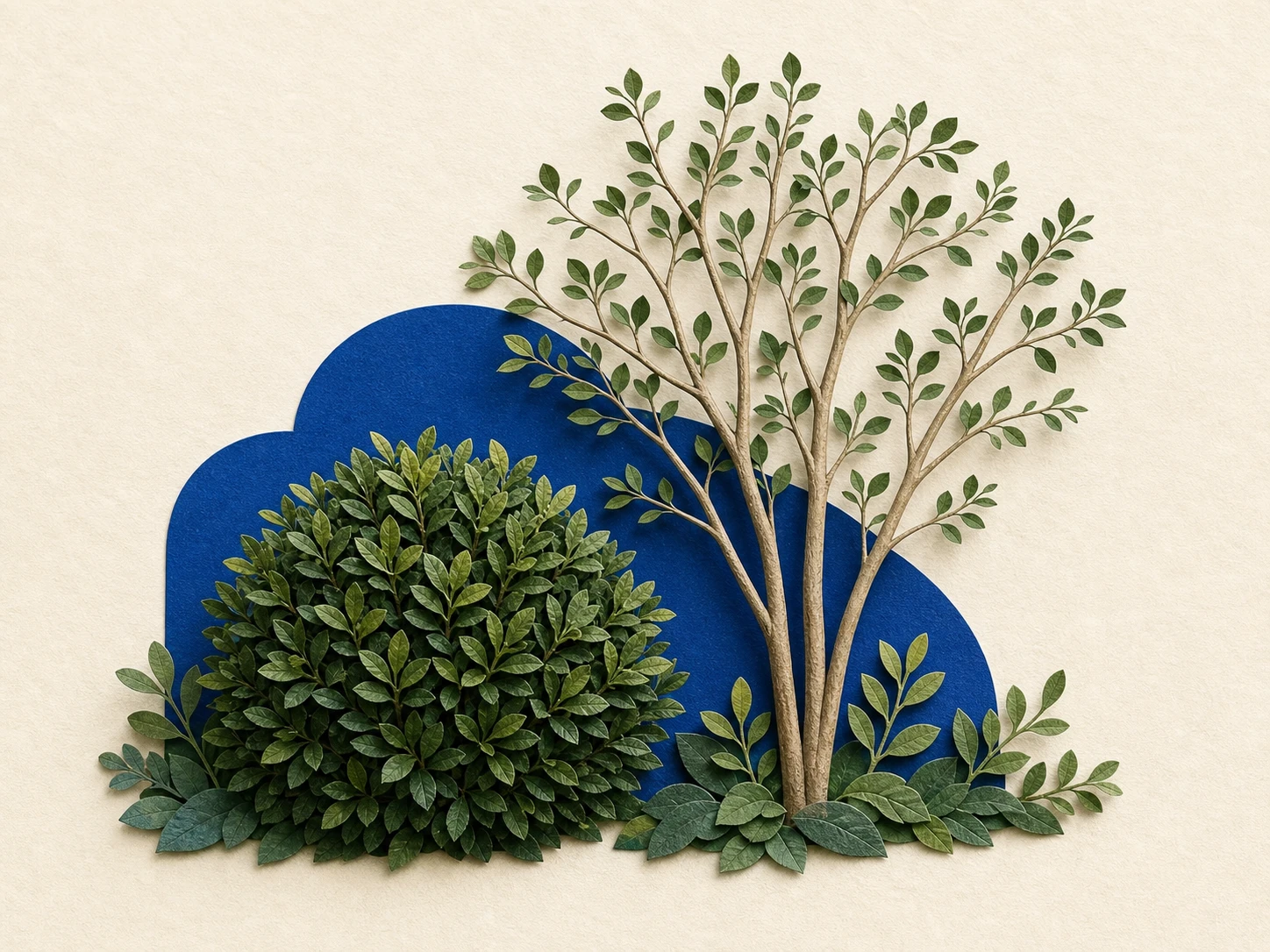 Cut-paper collage of a compact evergreen shrub and a small multi-stem tree showing permanent cottage-border structure