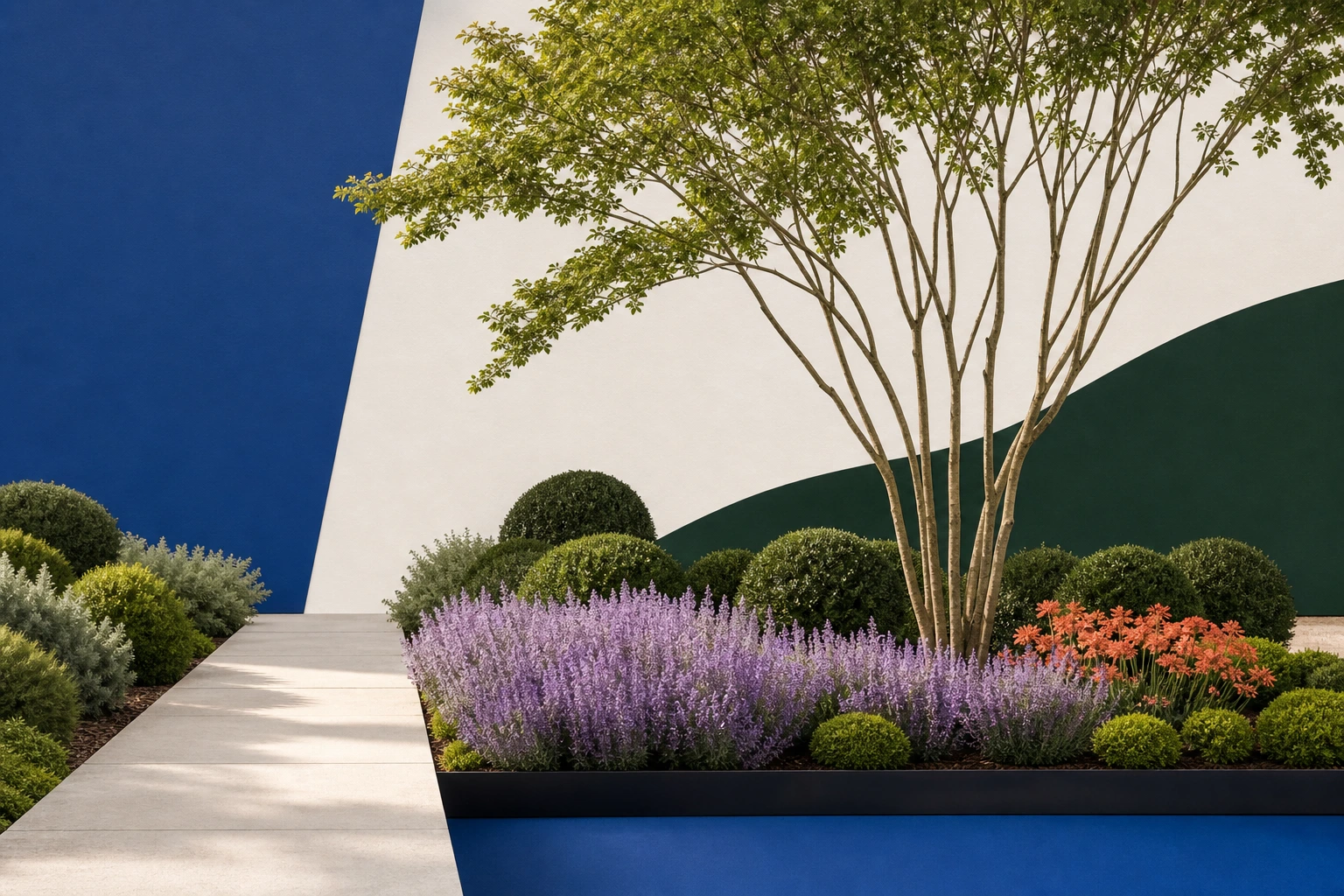 Modern garden collage with a straight pale path, multi-stem tree, rounded shrubs, and a broad lavender planting ribbon